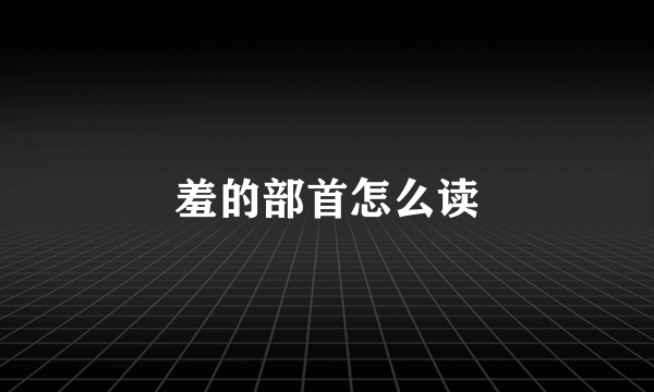 羞的部首怎么读