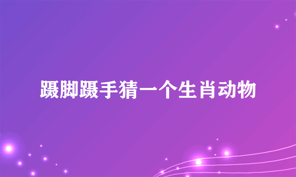 蹑脚蹑手猜一个生肖动物