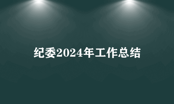 纪委2024年工作总结