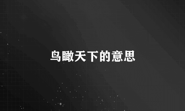 鸟瞰天下的意思