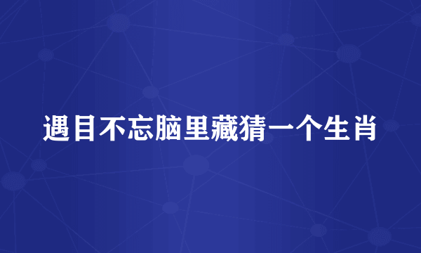 遇目不忘脑里藏猜一个生肖