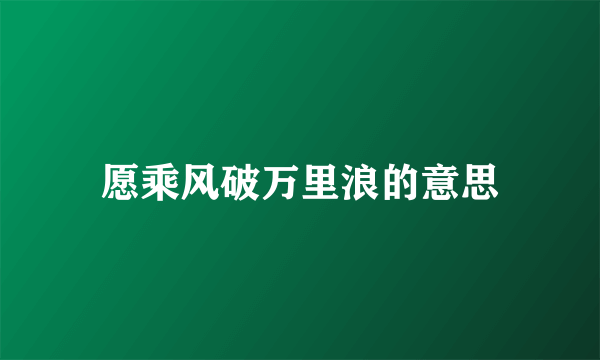 愿乘风破万里浪的意思