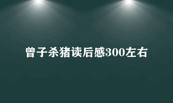 曾子杀猪读后感300左右