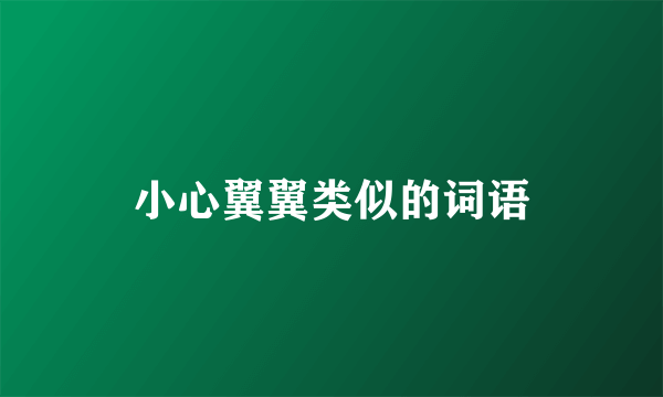 小心翼翼类似的词语