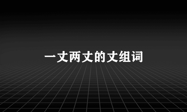 一丈两丈的丈组词