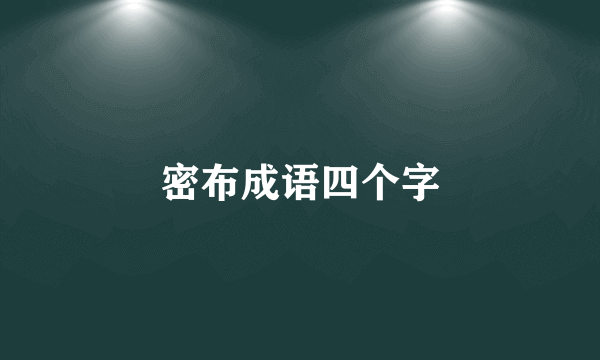 密布成语四个字