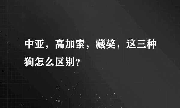 中亚，高加索，藏獒，这三种狗怎么区别？