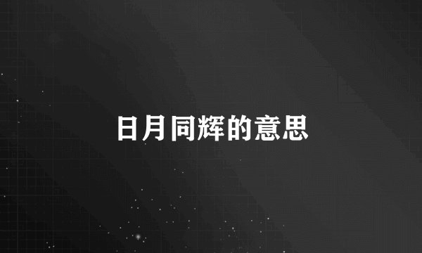 日月同辉的意思