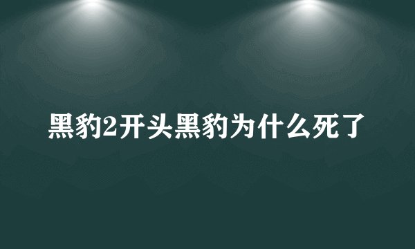 黑豹2开头黑豹为什么死了