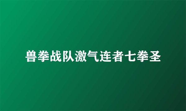 兽拳战队激气连者七拳圣