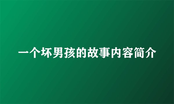 一个坏男孩的故事内容简介