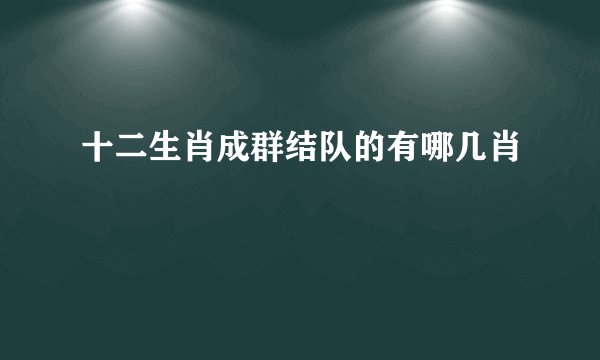 十二生肖成群结队的有哪几肖