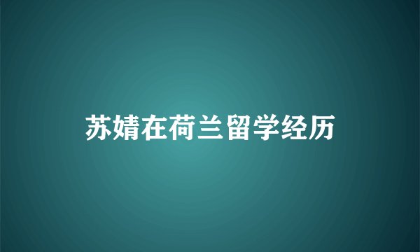 苏婧在荷兰留学经历