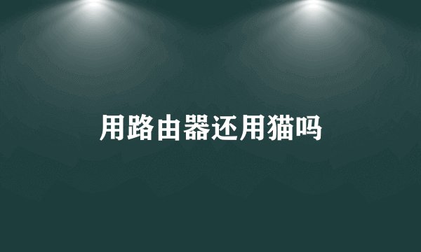 用路由器还用猫吗