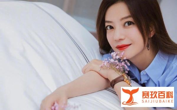 赵薇及公司被强制执行14177元