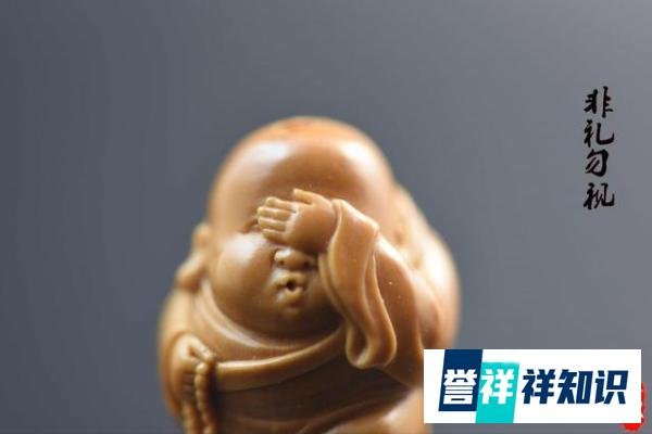 又是忘关摄像头，南苏丹外交官线上开会时小便引热议