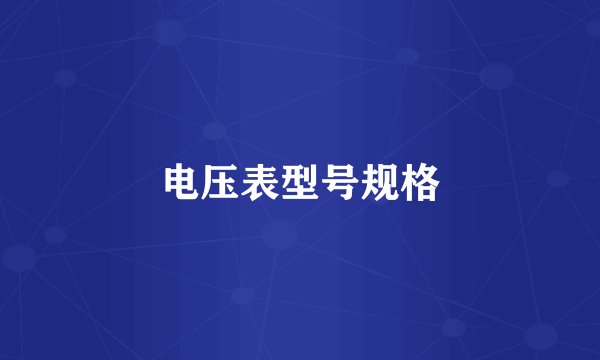 电压表型号规格