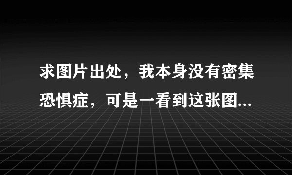 求图片出处，我本身没有密集恐惧症，可是一看到这张图，就异样的难受。所以想知道图片出处