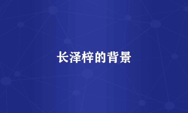 长泽梓的背景
