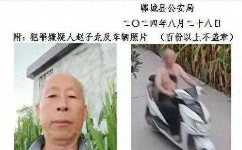 赵子龙，身高1米7，谢顶！河南警方悬赏10万抓捕，进展：仍在逃