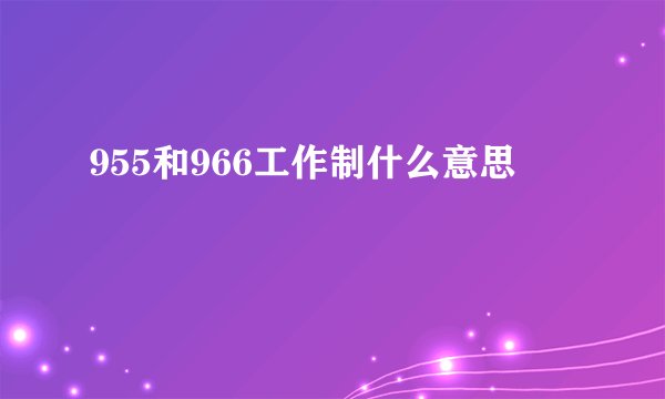 955和966工作制什么意思