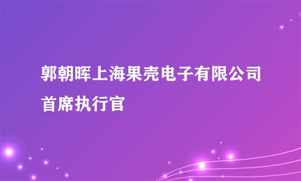 郭朝晖上海果壳电子有限公司首席执行官