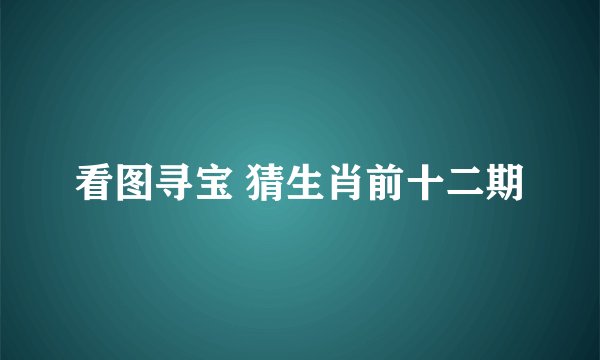 看图寻宝 猜生肖前十二期