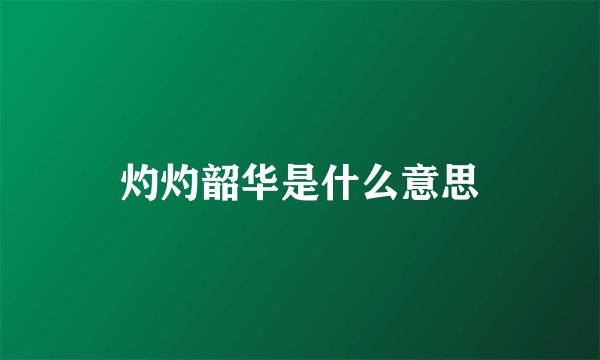 灼灼韶华是什么意思