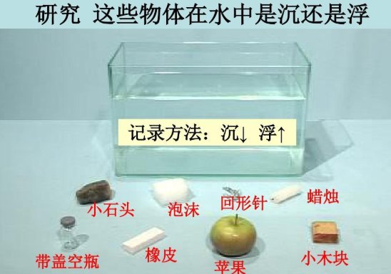物体在水中是沉还是浮?