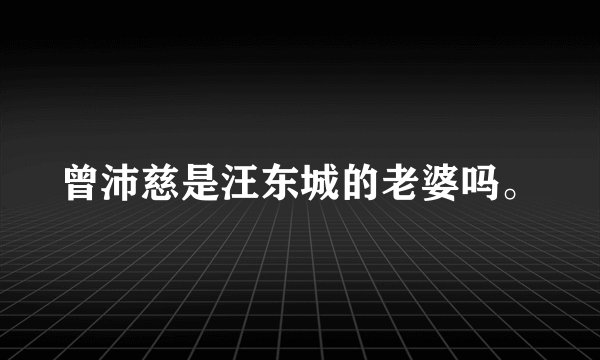曾沛慈是汪东城的老婆吗。