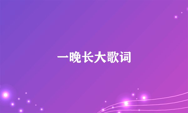 一晚长大歌词