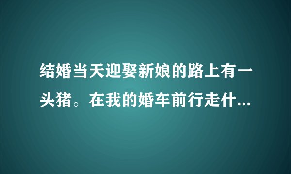 结婚当天迎娶新娘的路上有一头猪。在我的婚车前行走什么意思?