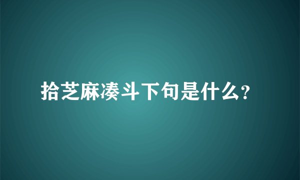 拾芝麻凑斗下句是什么？