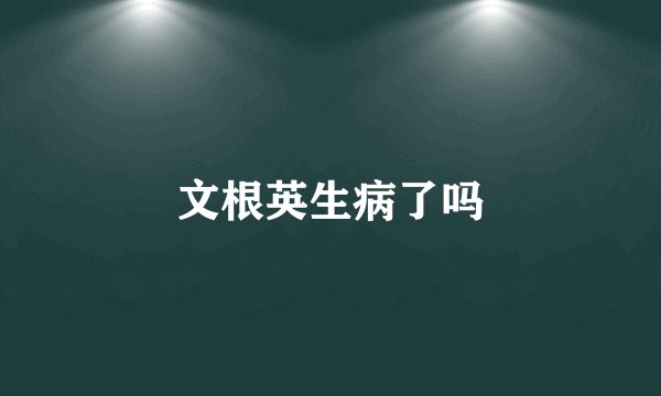 文根英生病了吗
