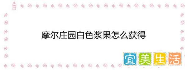 摩尔庄园白色浆果怎么获得