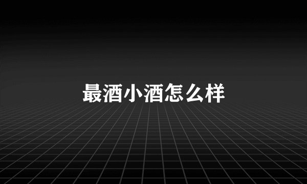 最酒小酒怎么样