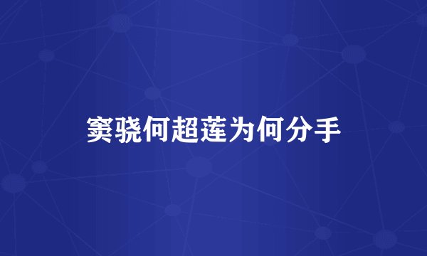 窦骁何超莲为何分手