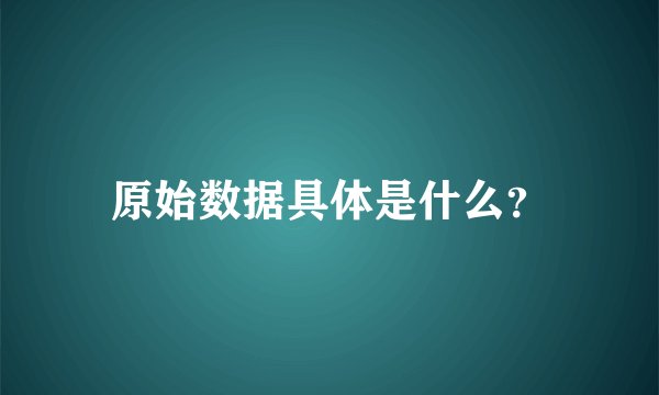 原始数据具体是什么？