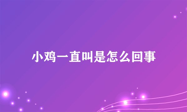 小鸡一直叫是怎么回事