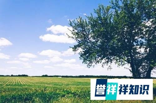 温暖结局!图书馆留言大叔重新办回读者证,从事绿化养护新工作