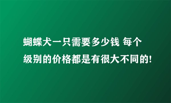 蝴蝶犬一只需要多少钱 每个级别的价格都是有很大不同的!