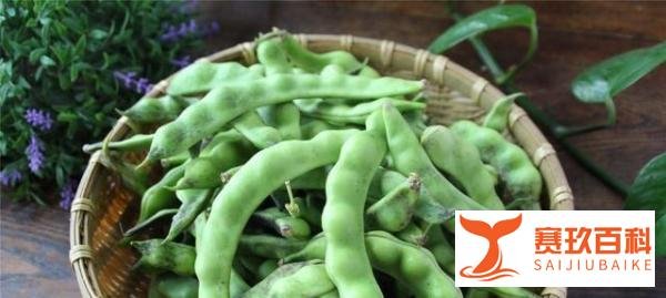 这些油豆角是豆角中的极品，全吃过的是东北人，外地人很少都吃过