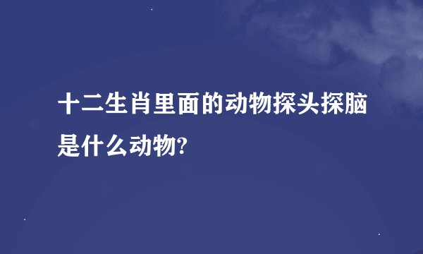 十二生肖里面的动物探头探脑是什么动物?