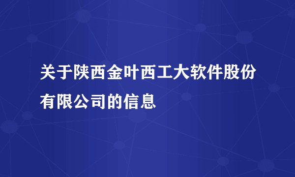关于陕西金叶西工大软件股份有限公司的信息
