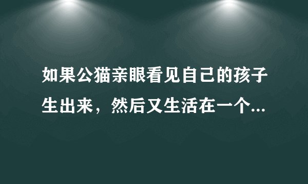 如果公猫亲眼看见自己的孩子生出来，然后又生活在一个主人家，那公猫知道那几只新猫是自己的孩子吗