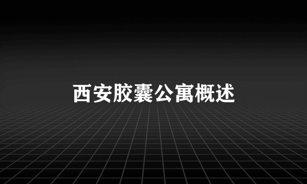 西安胶囊公寓概述