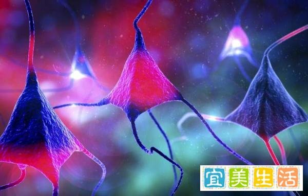 中国股市:未来至少翻10倍的“合成生物”概念股,就这8只!(附股)