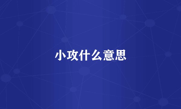 小攻什么意思