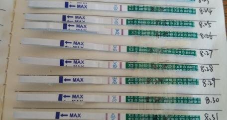 【孕脉健康】一张验孕棒图片告诉你，假阳性和真阳性有这些区别