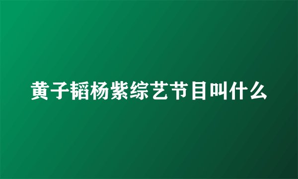 黄子韬杨紫综艺节目叫什么